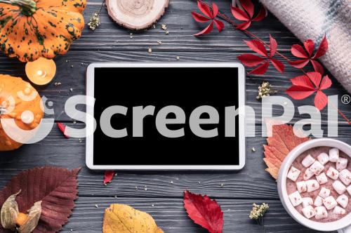 Autumn Fall Holiday Background With Pumpkin Orange Leaves Cocoa Cup Tablet Computer Blank Empty Screen Mock Up On Brown Wooden Table Happy Halloween Thanksgiving Shopping Sale Above Top View