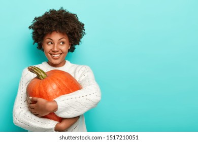 Horizontal Shot Of Glad Dark Skinned Female Has Afro Haircut Holds Big Pumpkin Uses Healthy Product For Preparing Organic Meal Looks Happily Away Dressed In Sweater Models Over Blue Background