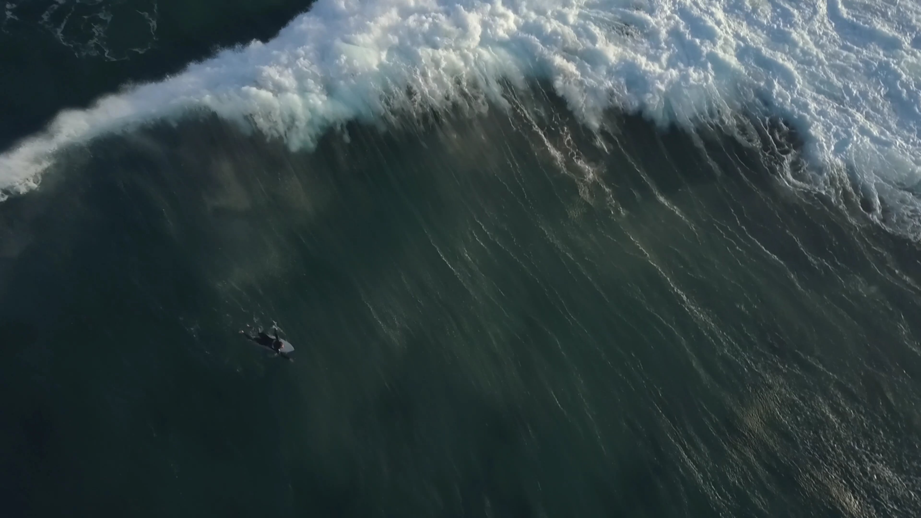 Surfer Portugal