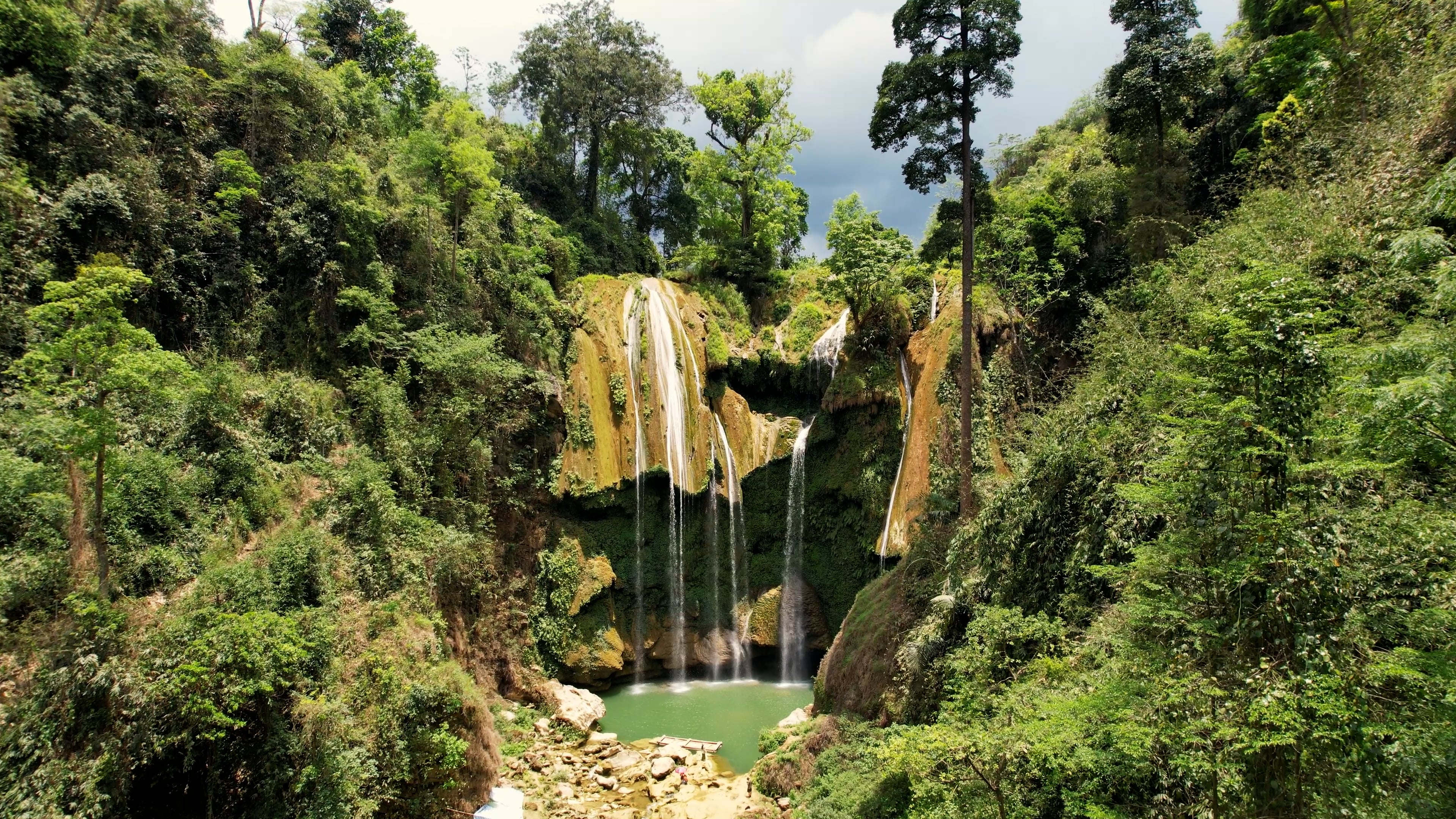 Waterfall Jungle