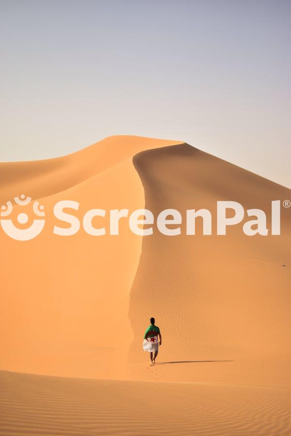 A Person Walking In The Middle Of The Hot Desert