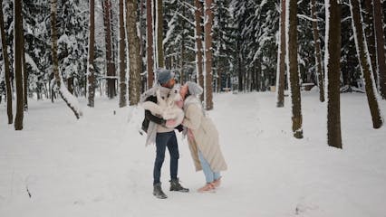 Cold Snow Wood Landscape