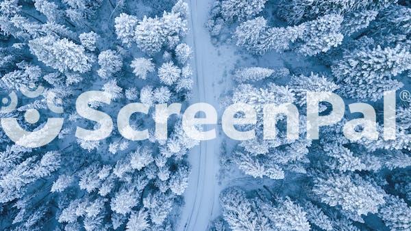 Aerial Photography Of Snow Covered Trees