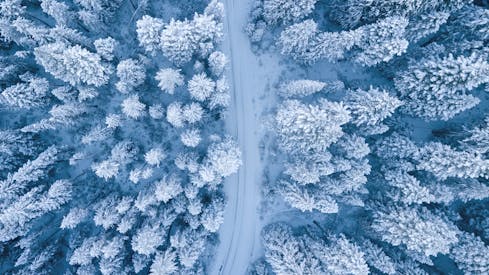 Aerial Photography Of Snow Covered Trees