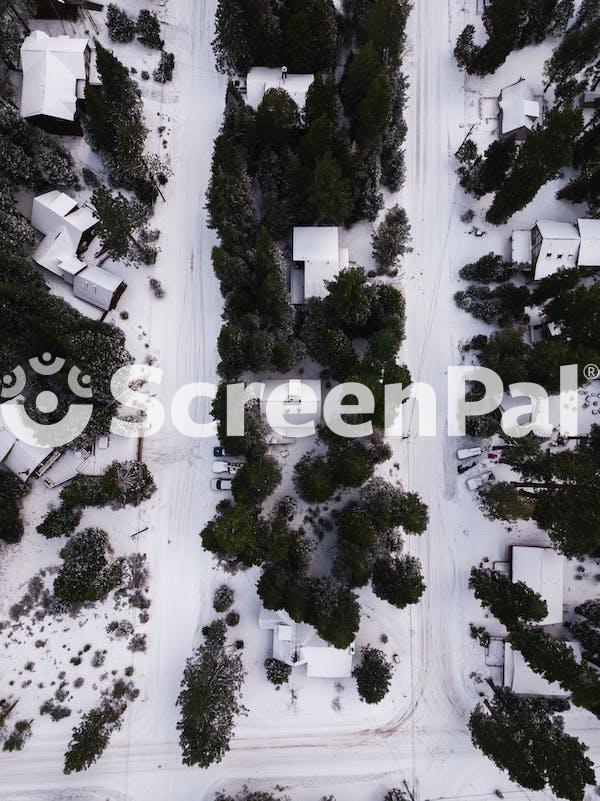 Areal Photography Of Snow Covered Houses Surrounded By Green Trees