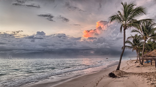 Beach Sea Ocean Tropical