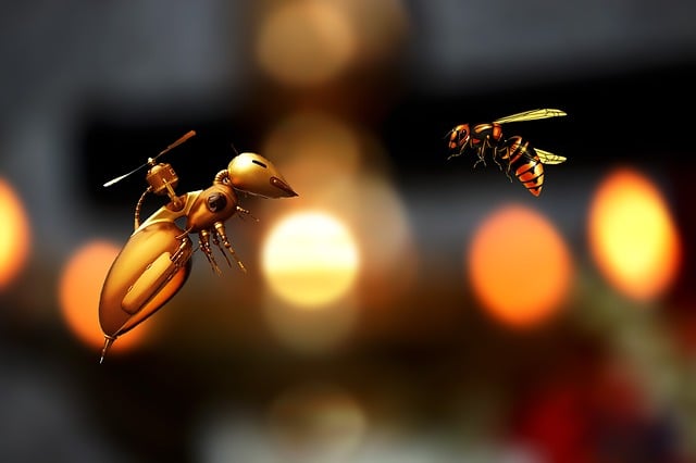 Bee Abstract Insect Nature Honey