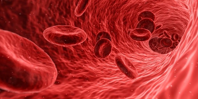 Blood Cells Red Medical Medicine