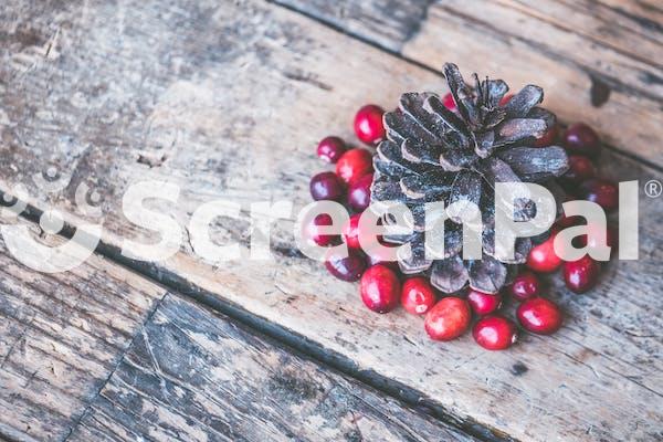 Brown Pine Cone Surrounded By Red Cranberry Photography