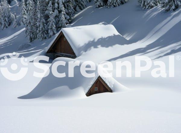 Brown Wooden House Covered With Snow Near Pine Trees