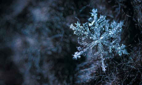 Close Up Photography Of Snowflake