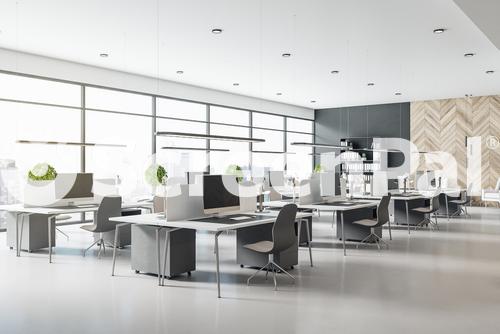 Eco Style Interior Design In Modern Open Space Office With Grey Tables And Chairs Wooden Decor Wall And Concrete Floor 3D Rendering