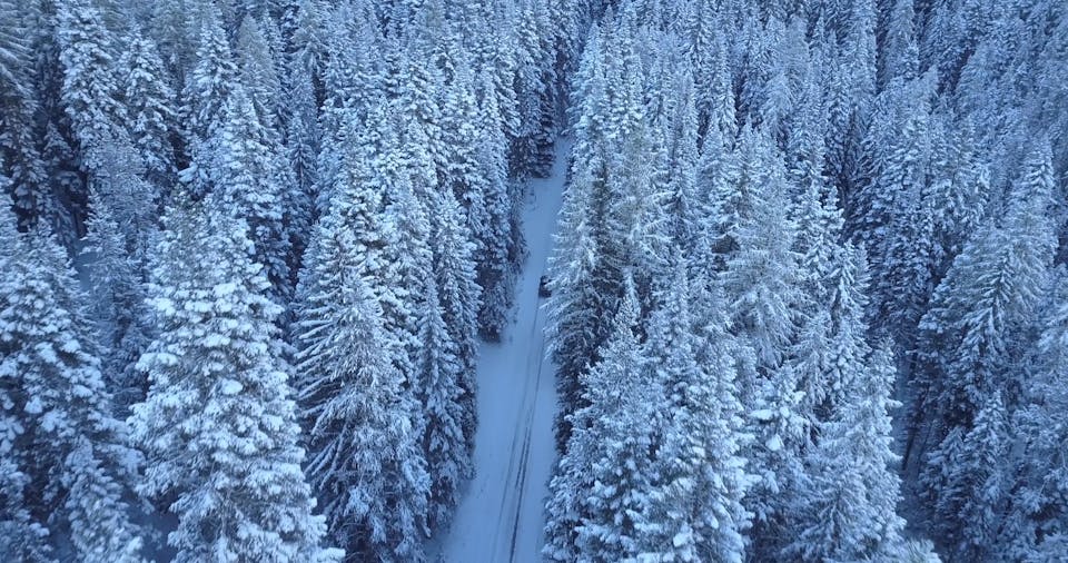 Car Drives In The Snow Through A Forest