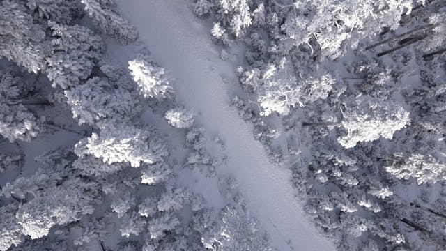 Drone View Of A Winter Landscape