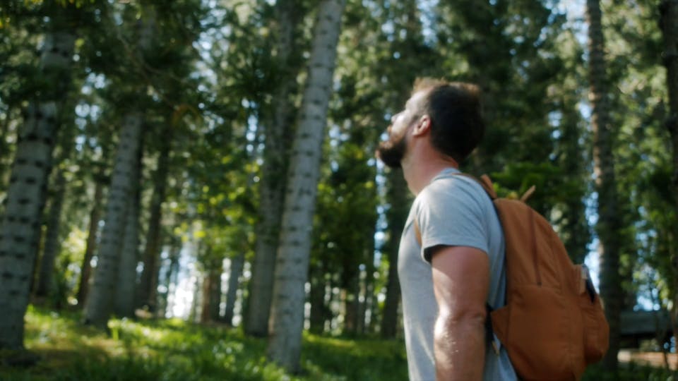 Man Looking At The Wonder Of Nature