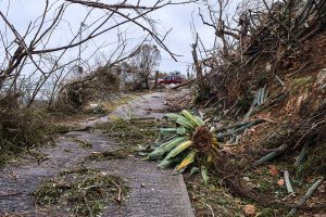 learning during a disaster