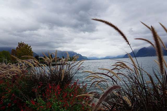 Lake Nature Switzerland Show