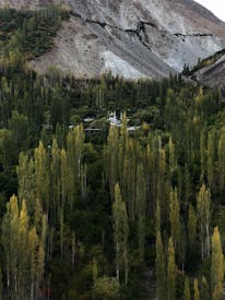 Mosque In Kargil