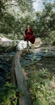 A Monk Meditating On A Tree