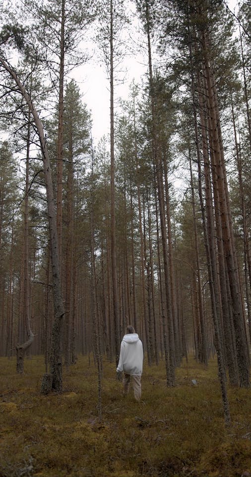 Person Walking Alone In The Woods