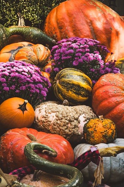 Pumpkin Harvest Fall October