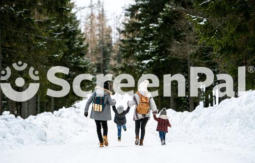 Rear View Of Family With Two Small Children In Winter Nature Walking In The Snow