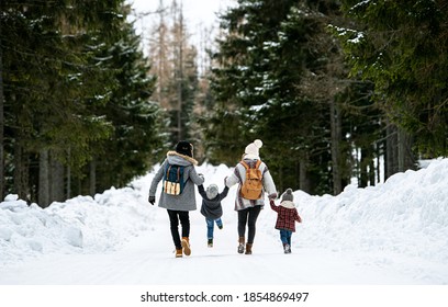 Rear View Of Family With Two Small Children In Winter Nature Walking In The Snow