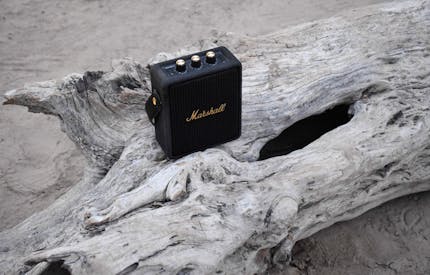 Speaker On A Tree Log